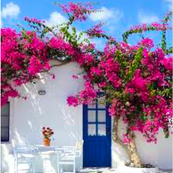 Meet your Posher, Lis - Picture 1 of 1